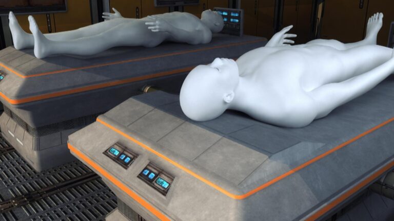 What is Digital Cadaver