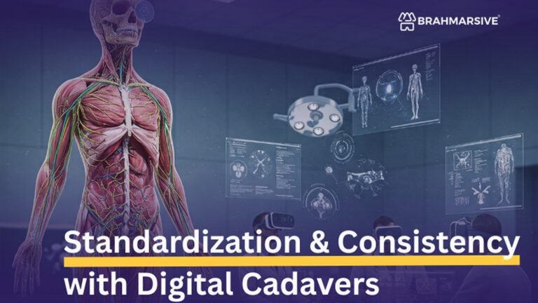 Standardization-and-Consistency-Ensuring-a-Strong-Foundation-with-Digital-Cadavers